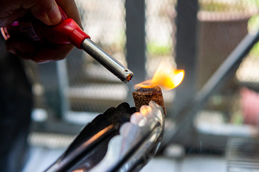 La ciencia detrás de prender el asador
